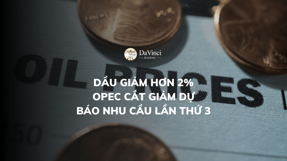 Dầu giảm hơn 2%: OPEC cắt giảm dự báo nhu cầu lần thứ 3